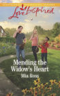 Mending the Widow's Heart