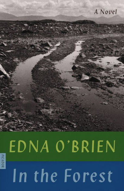 In The Forest A Novel By Edna Obrien Paperback Barnes And Noble®