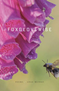 Title: Foxglovewise: Poems, Author: Ange Mlinko