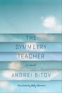 The Symmetry Teacher