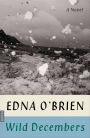 Wild Decembers: A Novel