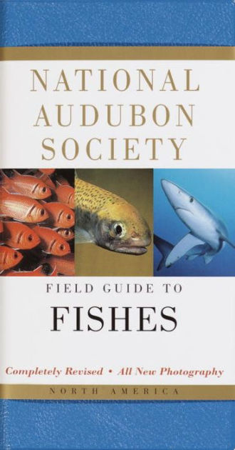 National Audubon Society Field Guide to Fishes: North America [Book]