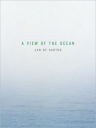 A View of the Ocean