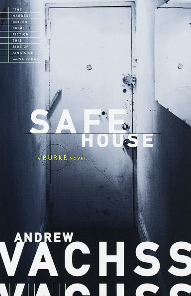 Safe House (Burke Series #10)