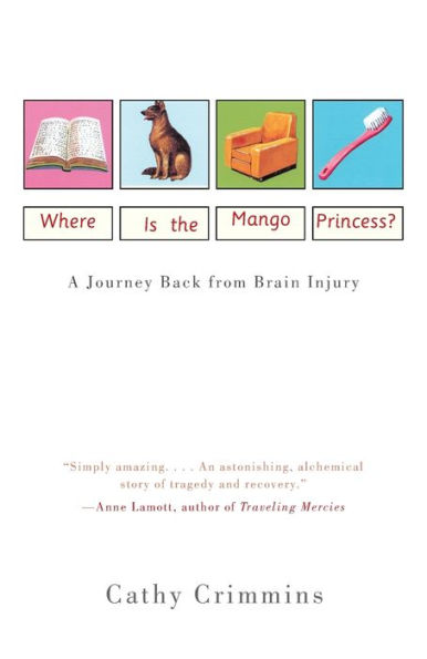 Where Is the Mango Princess?: A Journey Back From Brain Injury