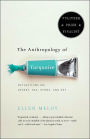 The Anthropology of Turquoise: Reflections on Desert, Sea, Stone, and Sky