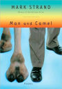 Man and Camel