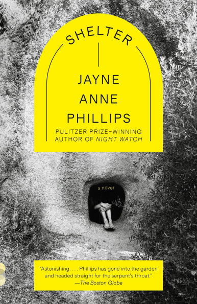 Shelter: A Novel