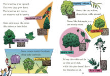 Alternative view 4 of I Can Name 50 Trees Today!: All About Trees (Cat in the Hat's Learning Library Series)