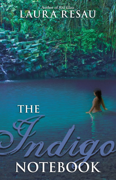 The Indigo Notebook (Notebook Series #1)