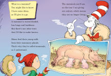 Alternative view 3 of Once upon a Mastodon: All About Prehistoric Mammals