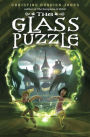 The Glass Puzzle