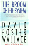 The Broom of the System