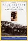 Four Perfect Pebbles:: A Holocaust Story