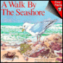 A Walk by the Seashore