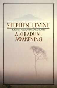 Title: A Gradual Awakening, Author: Stephen Levine