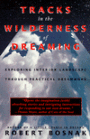 Tracks in the Wilderness of Dreaming: Exploring Interior Landscape Through Practical Dreamwork