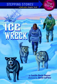 Title: Ice Wreck, Author: Lucille Recht Penner