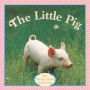 The Little Pig