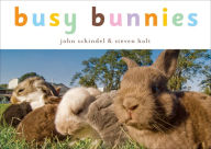 Title: Busy Bunnies, Author: John Schindel