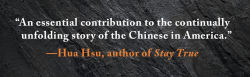 Alternative view 5 of Strangers in the Land: Exclusion, Belonging, and the Epic Story of the Chinese in America