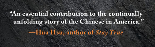Strangers in the Land: Exclusion, Belonging, and the Epic Story of the Chinese in America