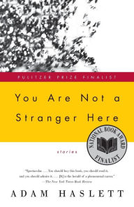 Title: You Are Not a Stranger Here, Author: Adam Haslett