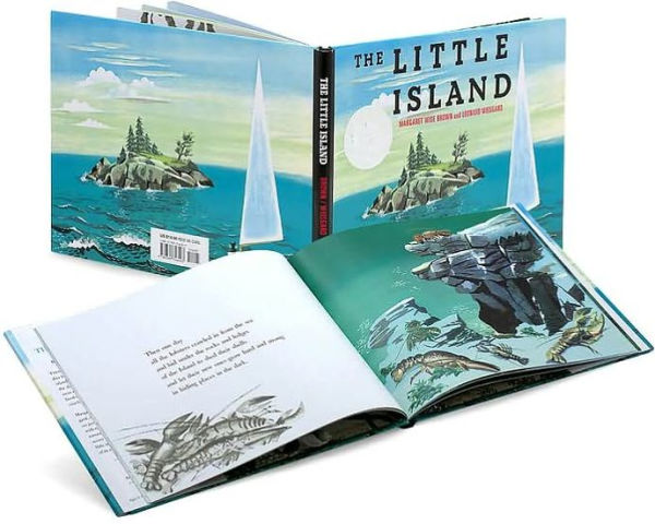 The Little Island (Caldecott Medal Winner)