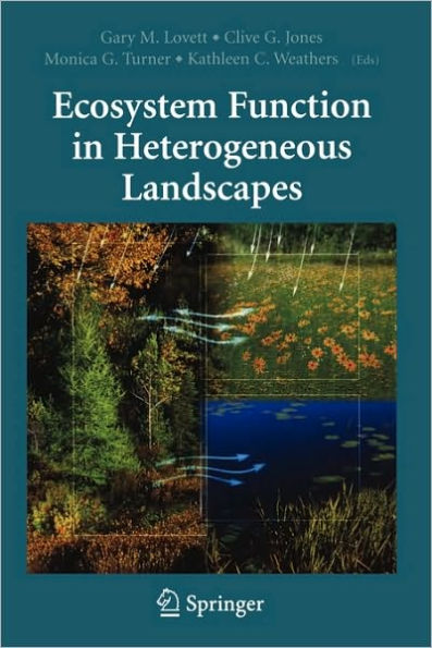 Ecosystem Function in Heterogeneous Landscapes / Edition 1