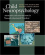 Child Neuropsychology / Edition 1