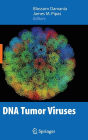 DNA Tumor Viruses / Edition 1