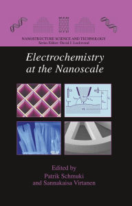Title: Electrochemistry at the Nanoscale / Edition 1, Author: Patrik Schmuki