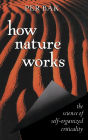 How Nature Works: the science of self-organized criticality