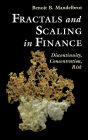 Fractals and Scaling in Finance: Discontinuity, Concentration, Risk. Selecta Volume E / Edition 1