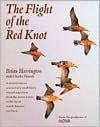 The Flight of the Red Knot: A Natural History Account of a Small Bird's Annual Migration from the Arctic Circle to the Tip of South America and Back