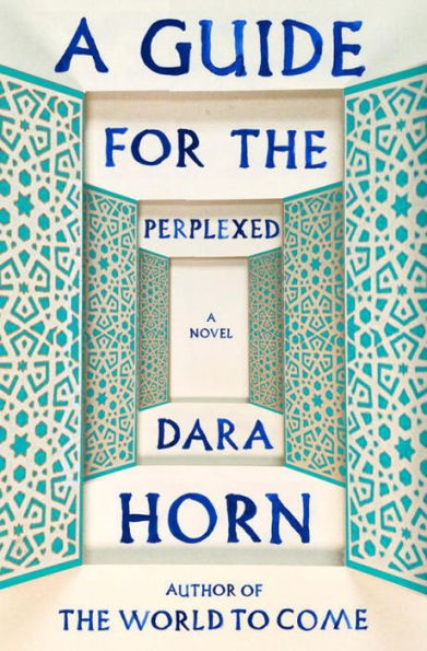 A Guide for the Perplexed: A Novel