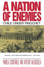 A Nation of Enemies: Chile Under Pinochet / Edition 1993