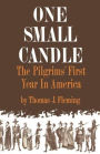One Small Candle: The Pilgrims' First Year in America