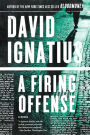 A Firing Offense: A Novel