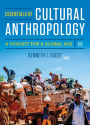 Essentials of Cultural Anthropology: A Toolkit for a Global Age / Edition 2