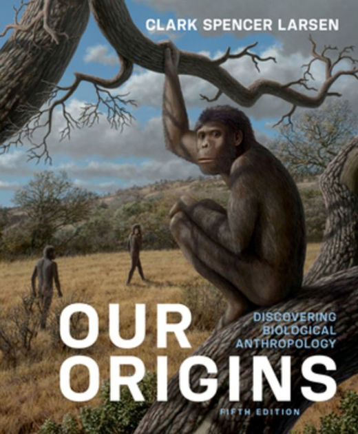 Our Origins / Edition 5 by Clark Spencer Larsen | 9780393680881