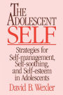 Alternative view 2 of The Adolescent Self: Strategies for Self-Management, Self-Soothing, and Self-Esteem in Adolescents