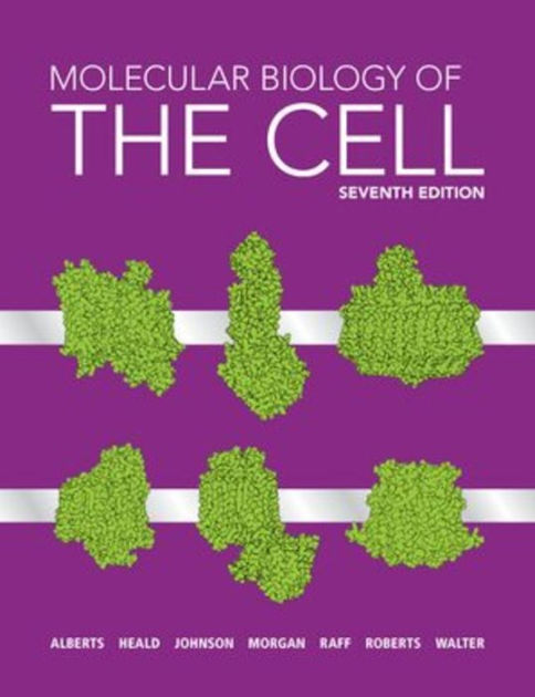 Molecular Biology of the Cell by Bruce Alberts, Rebecca