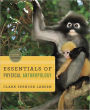 Essentials of Physical Anthropology: Discovering Our Origins / Edition 2