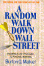 A Random Walk down Wall Street: Updated for the 1990s Investor