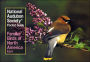 National Audubon Society Pocket Guide to Familiar Birds: Eastern Region: Eastern