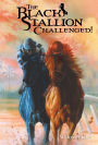 The Black Stallion Challenged!