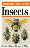 Peterson Field Guide to the Insects of America North of Mexico