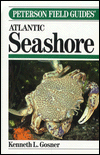 A Field Guide to the Atlantic Seashore