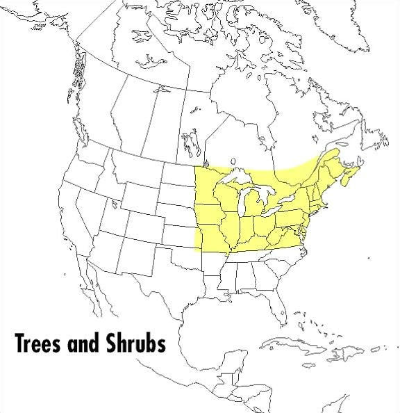 A Peterson Field Guide To Trees And Shrubs: Northeastern and north-central United States and southeastern and south-centralCanada